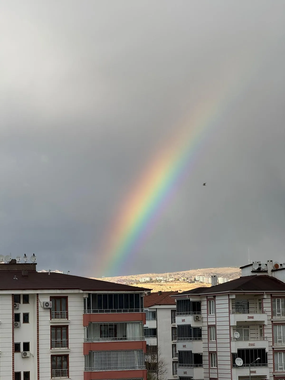 Manşet: ELAZIĞ DA GÖKKUŞAĞI GÖRENLERE RENK KATTI.