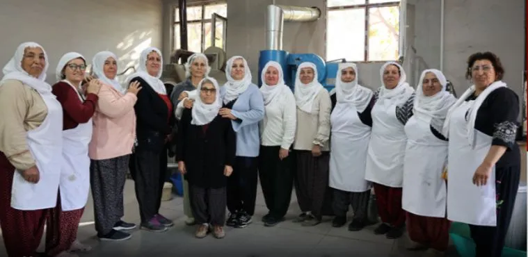 Manşet: AĞIN'DA KADIN ÜRETİCİLERİ ÜRETTİKLERİ LEBLEBİYİ TÜRKİYE MARKASINA DÖNÜŞTÜRDÜ.